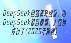 DeepSeek自媒体创业-网创联盟