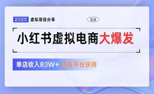 小红书虚拟电商1拖3-网创联盟