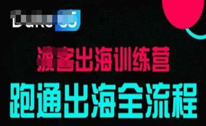 TikTok出海训练营-网创联盟