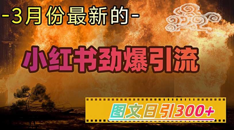 小红书超劲爆引流手段，图文日引300+轻松变现1W-网创联盟