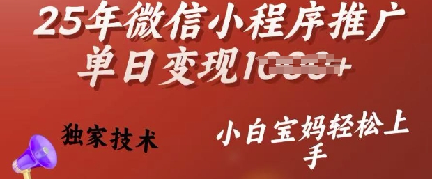25年微信小程序推广单日变现多张，独家技术，小白宝妈轻松上手【揭秘】-网创联盟